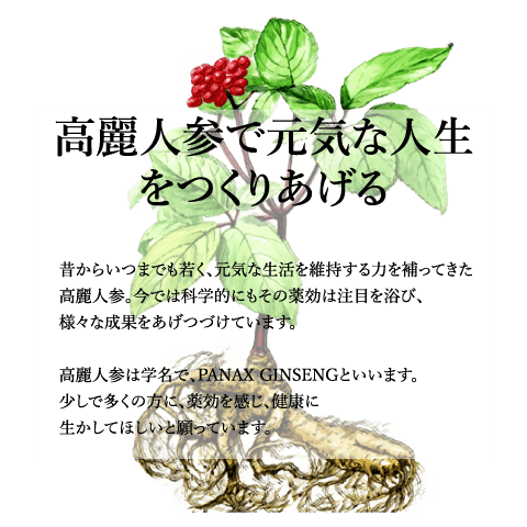 高麗人参情報サイト Panaxginseng 高麗人参に関する情報を提供するサイトです 高麗人参に興味のある方 高麗人参 を飲んでみようかと思っておられる方 すでに愛用されている方 すべての人に そうだったのか と思っていただける情報を提供します